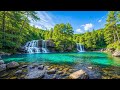 Maravillosa Música Curativa para Calmar la Mente y Aliviar los Trastornos Nerviosos🌿Energía Positiva