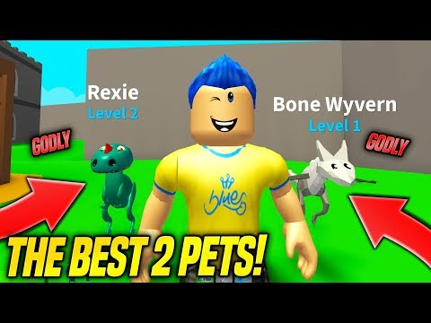 I Got 2 Godly Pets In Monster Battle Simulator Best Pets Roblox Youtube - mona gun fights monsters so fast roblox monster battle youtube