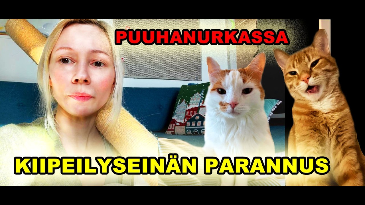 Puuhanurkassa tapahtuu: kiipeilypötkön kiinnitys seinään