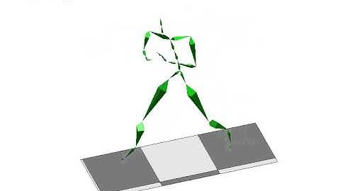 Fast Local and Global Similarity Searches in Large Motion Capture Databases