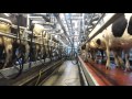 Milking parlour series: Paddy O Gorman, Co Tipperary