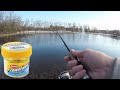 TROUT FISHING with Powerbait Power Eggs (Stocked Trout CHEAT CODE!)