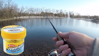 TROUT FISHING with Powerbait Power Eggs (Stocked Trout CHEAT CODE