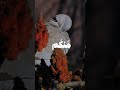 قران كريم