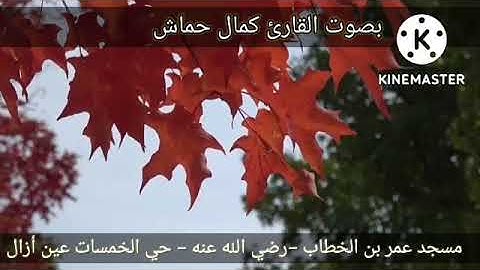 تلاوة عطرة بصوت الاخ كمال حماش