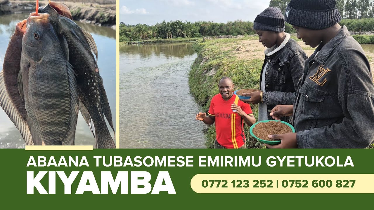 ABAANA BAFFE TUBAYIGIRIZE EMIRIMU GYETUKOLA KIBAYAMBE MU BISEERA BY'OMUMAASO.
