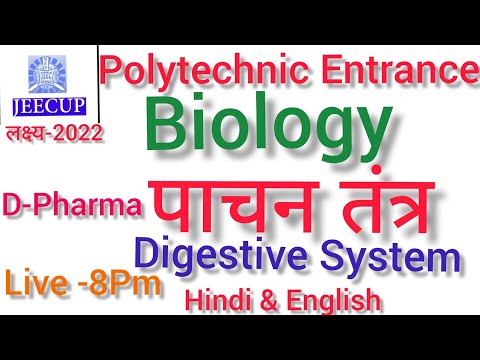 digestive system polytechnic entrance exam2022Target100%success go to playlist see more video 🎯