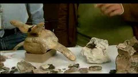 Simply Science at the Fossil Road Show