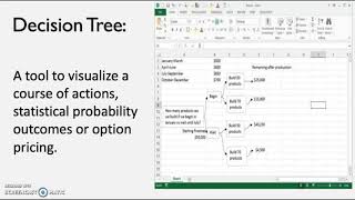 Microsoft Excel Add-ins: Decision Tree