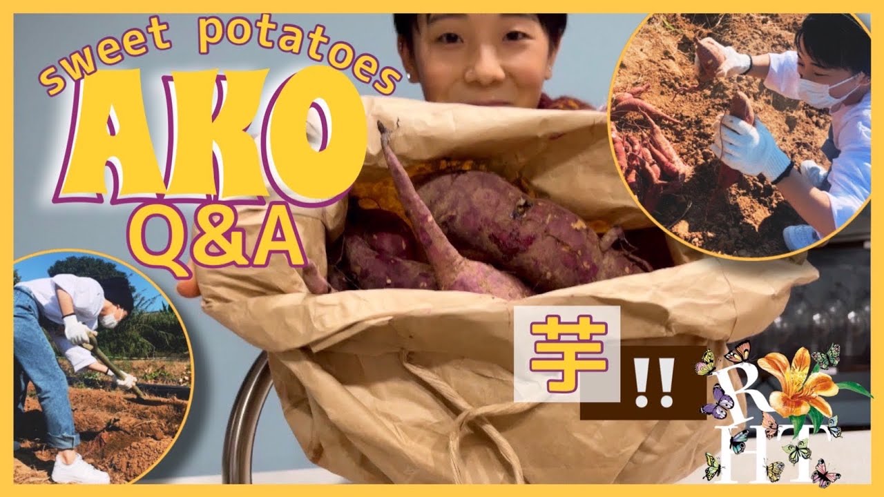 【芋部】本田兄弟にほっこり...Akoの芋活とQ&A!!!!