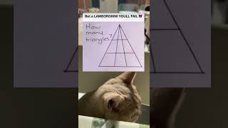 Famous How Many Triangles Here? Net Worth