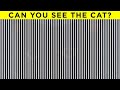 Can You Pass This Eye Test?