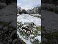 Second snowfall of this year #snowfalltoday #tokyo #snowfall