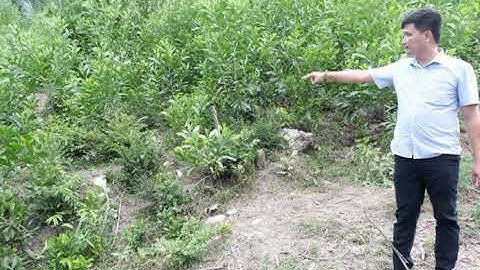 Quảng Nam khẳng định nhà máy đốt rác không "đe dọa" nguồn nước Đà Nẵng