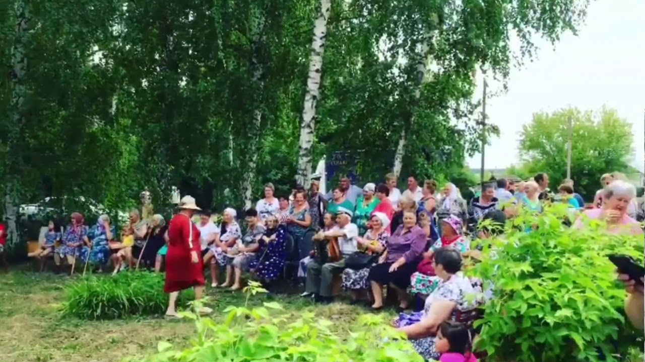 Села 2018. Виляйки Пензенская область. Село Виляйки Наровчатского района. С Виляйки Наровчатский район Пензенская область. Население Пенза село Виляйки.