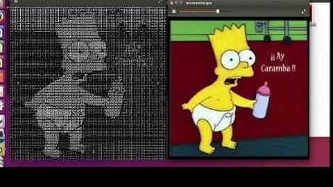 2.-Comandos curiosos en la terminal de Gnu/Linux - asciiview