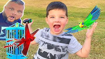 Caleb & Dad Play with Go-Go Birds PET TOYS! new pretend pet animal friends