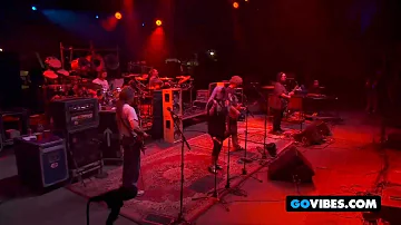 Dark Star Orchestra Performs "Scarlet Fire" at Gathering of the Vibes 2011