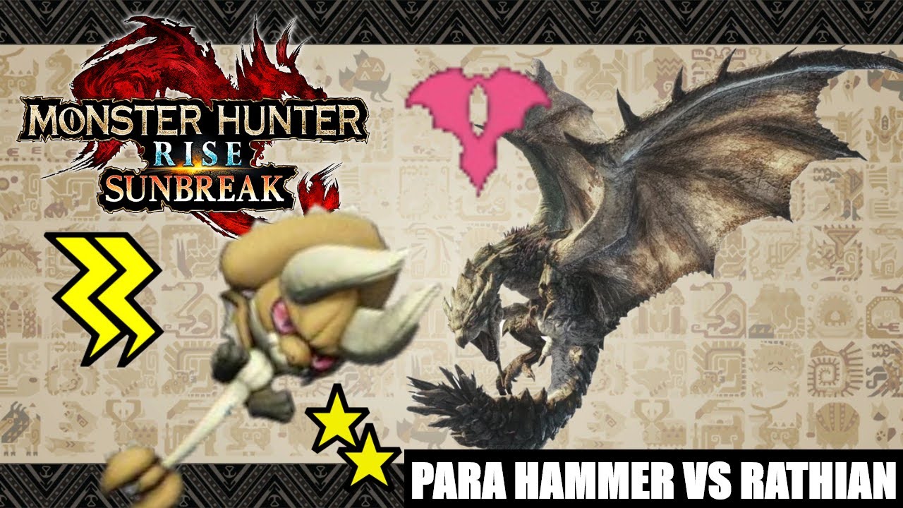 PARA HAMMER BUILD SHOWCASE| MONSTER HUNTER RISE: SUNBREAK - YouTube