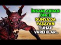 İnsanlardan Önce Dünyada Hangi Varlıklar Yaşıyordu ? Meleklerin SAVAŞTIĞI Cinler..