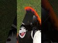 Portal Gun Vs Yoshie Kimura Gmod Nextbots