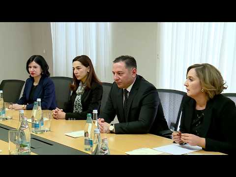შინაგან საქმეთა მინისტრი ევროკავშირის სპეციალურ წარმომადგენელს შეხვდა