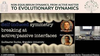 Self-induced symmetry breaking at active/passive interfaces | Guilaume Duclos (Brandeis Univ.)
