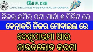 HOW TO CHECK AND DONWLOD LAND RECORD ODISHA BHULEK screenshot 4