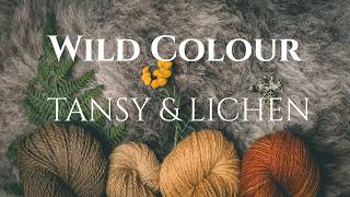 Wild colour - Tansy & Lichen