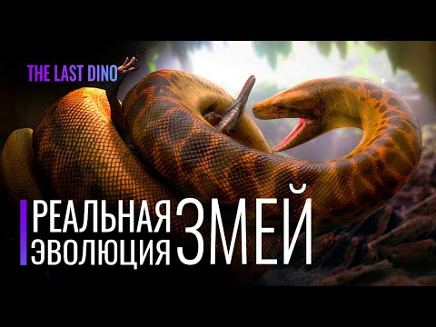 Видео: Реальная Эволюция Змей. От ног до яда