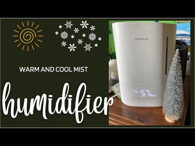 4.5L Fabuletta 2-in-1 Cool & Warm Mist Humidifier