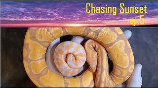 Chasing Sunset in 2026 - ep5