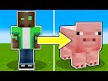 Trolleé a Mi Amigo Conviertiéndome en Mobs (Minecraft)