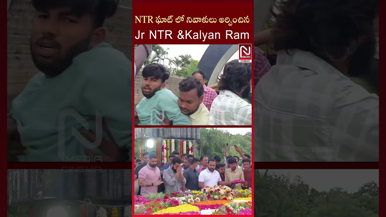 Ntr ఘాట్లో అన్నయ్య తో jr ఎన్టీఆర్ #NTR #kalyanram #jrntr #trendingshorts #videos