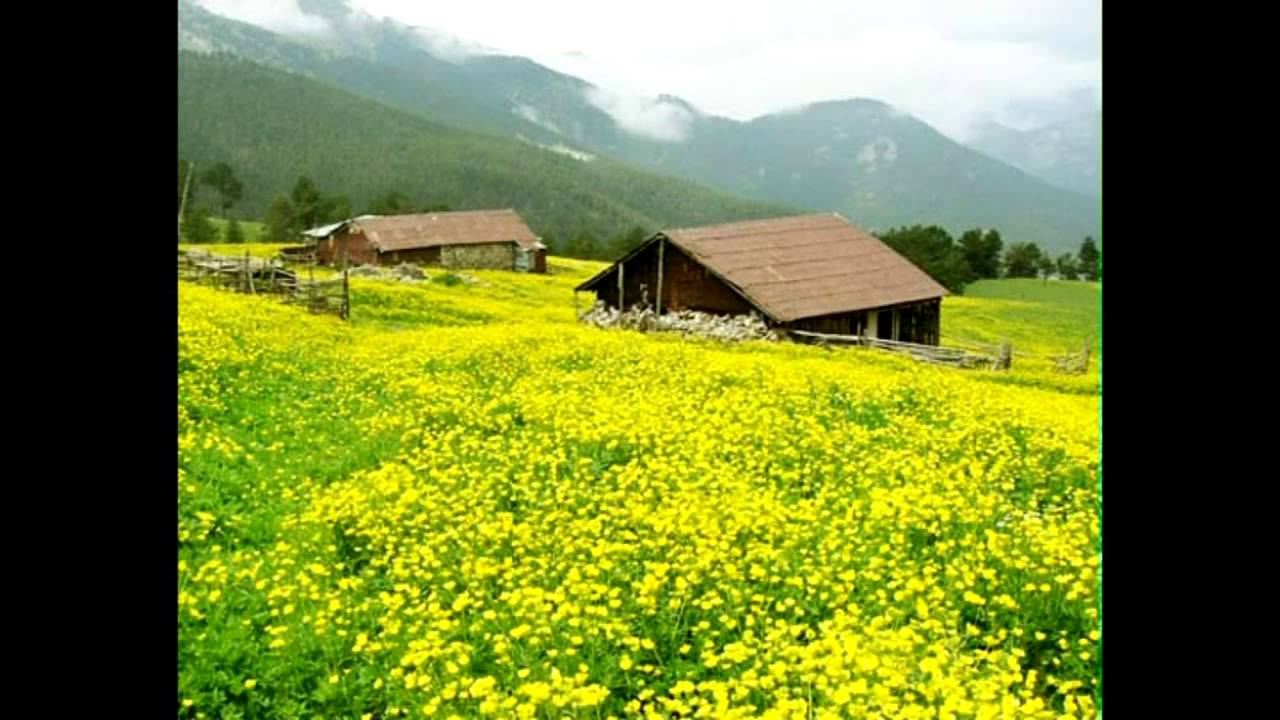 Ziliflerin Tutam Tutam Türküsü - YouTube