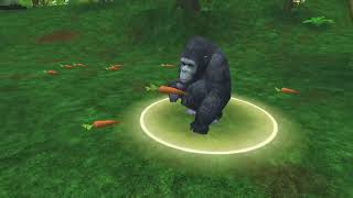 Zoo Ty 2 - Mountain Gorilla Doesnt Like Carrots