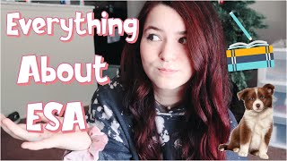 Everything To Know About Emotional Support Animals Meghan Youngless