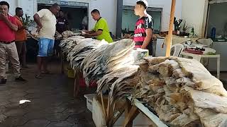 Feira livre de bom Jesus da Lapa/muita fartura+de volta pra casa almoço do dia 