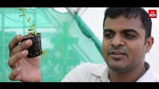 Hydroponics The Future Of Farming