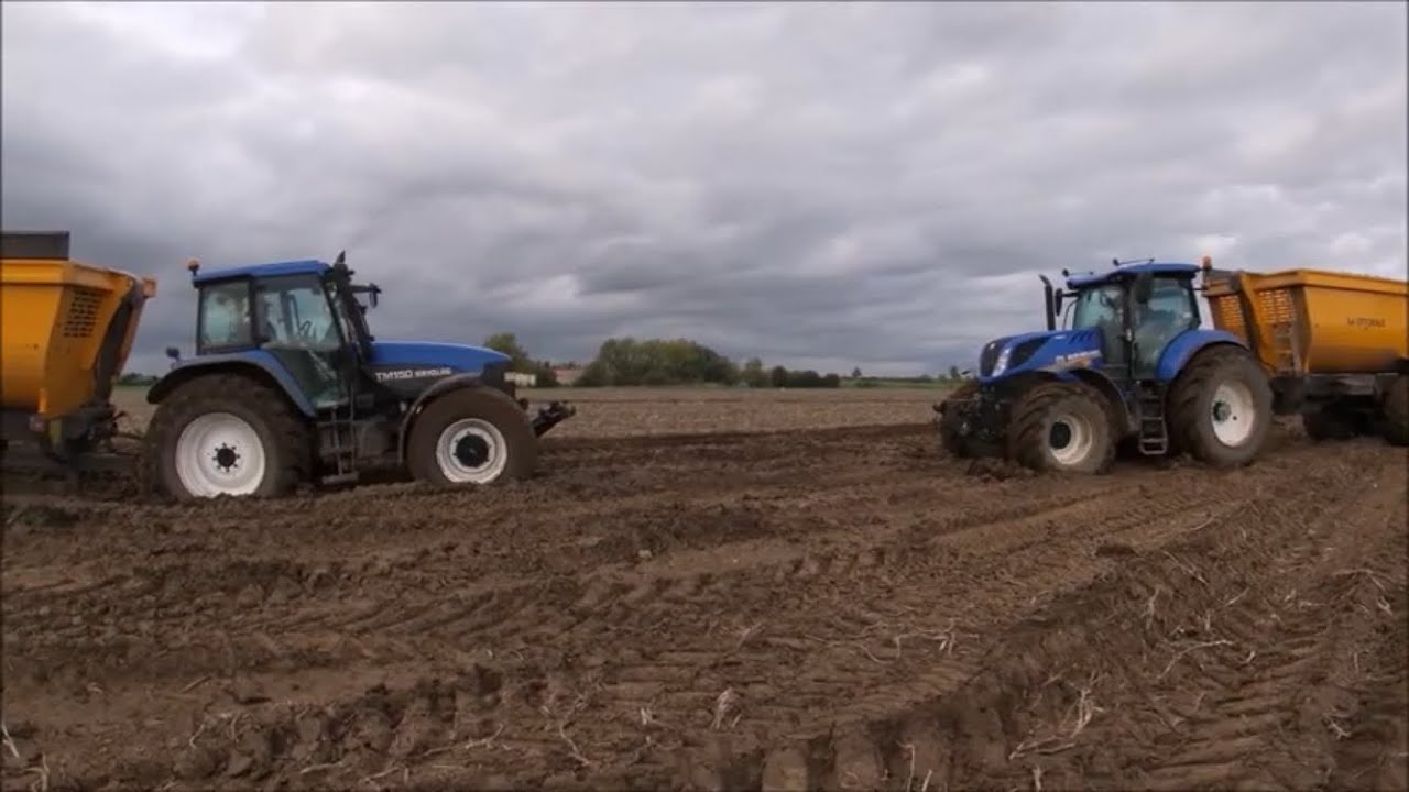 arrachage de pomme de terre 2019 100%new holland