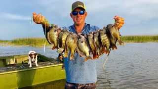 Monster Lake Okeechobee Bluegills {Catch Clean Cook} BlueGabe episode 1