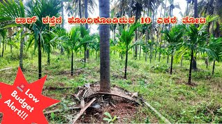 🚨 Low Budget Alert! Tar Road Facing 10 Acre ತೆಂಗಿನ ತೋಟ 🌴 | ವಿಶೇಷ ವಿಡಿಯೋ!