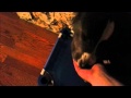 Boxer Puppy and Pitbull with Cat Issues Learn Obedience- Take the Lead K9 Training Boxer Puppy and Pitbull with Cat Issues Learn Obedience- Take the Lead K9 Training