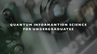 Quantum Information Science for Undergraduates
