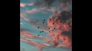[FREE] Acoustic Guitar Type Beat Right Way (Acoustic Pop Instrumental) @AcousticGuitarBeats
