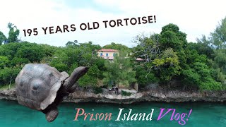 Prison Island Vlog | 195 Years Old Tortoise | Creep | Changu Island | Zanzibar | Tanzania | Africa