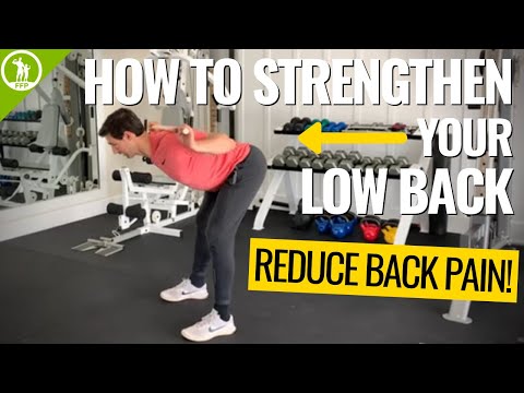 Strengthen Your Low Back → Reduce Your Back Pain!