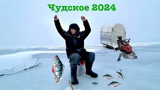 Рыбалка на Чудском озере 2024 / PERCH FISHING CHUDSKOE LAKE 2024