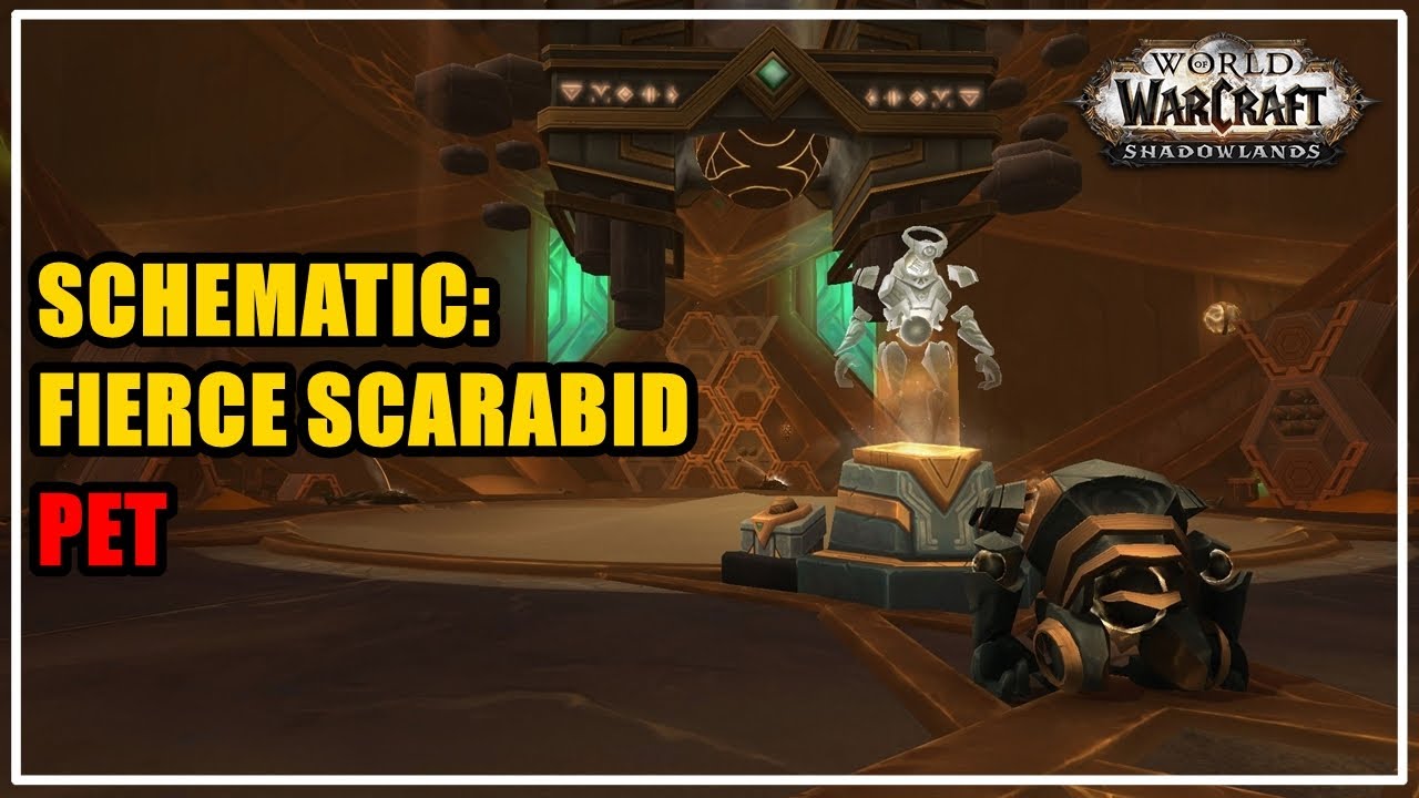 How to get Schematic: Fierce Scarabid Pet WoW - YouTube