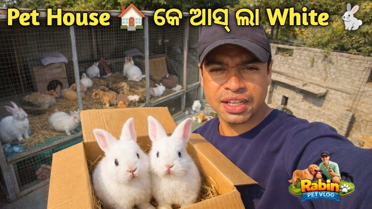 Rabin Pet House ର New Member | New Pet Entry in Home 🏡 | Finally Rabbit Mil Gaya 🐇| Rabinpetvlog 